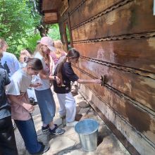 506709957 1336425511400189 n